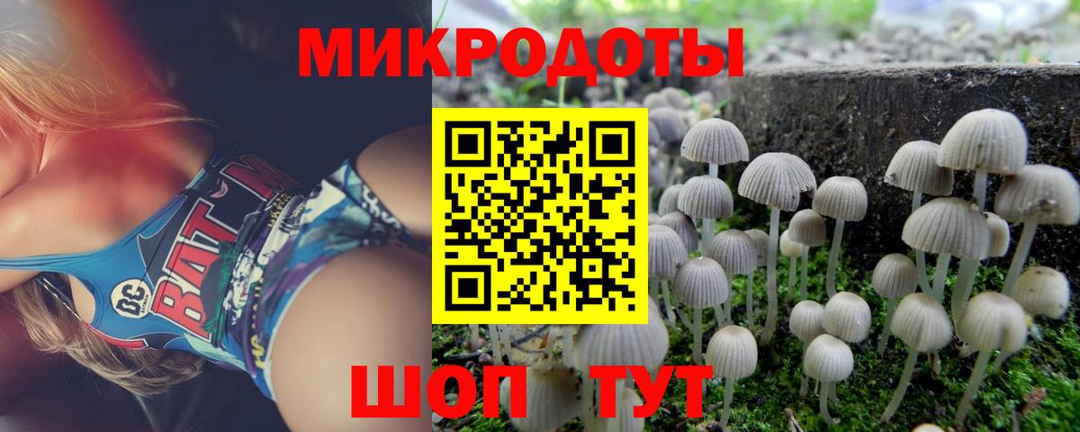 Псилоцибиновые грибы Psilocybine cubensis  Вход с VPN  Лянтор 